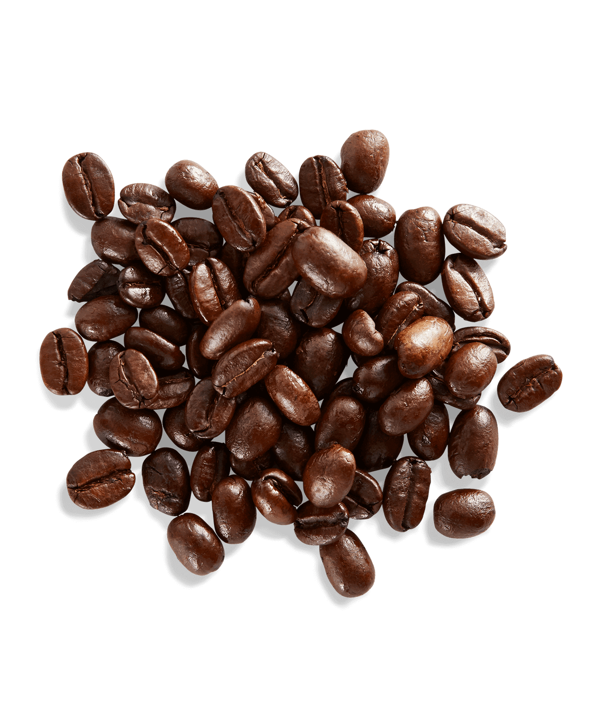 Peet's Gaia Organic Blend Coffee beans shown up close with detail