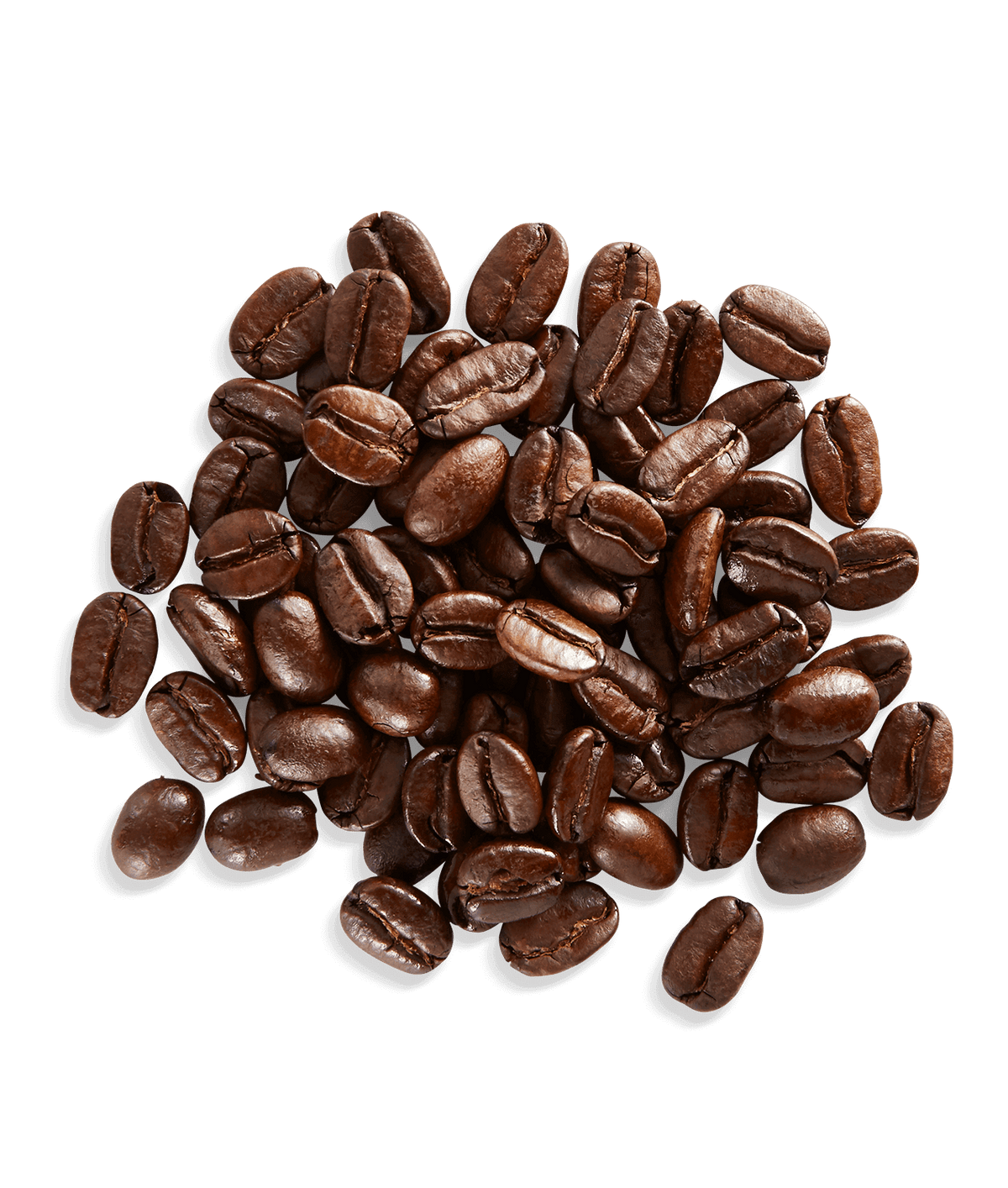 Peet's Garuda Blend Coffee beans shown up close with detail